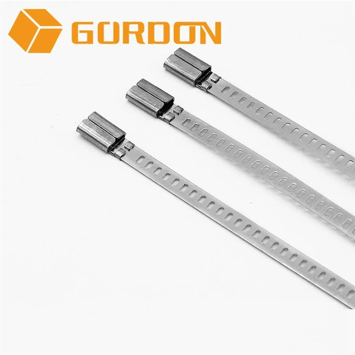 316 SS Ladder Type Cable Tie 316 SS Ladder Type Cable Tie
